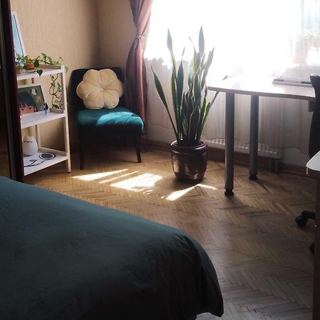 Cozy Room In Каунас Екстер'єр фото